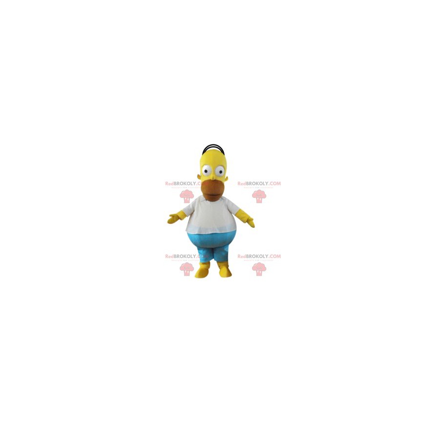 Homer mascot, character of the Simpson Family - Redbrokoly.com