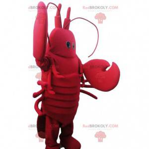 Mascote da lagosta com belas garras. Fantasia de lagosta -