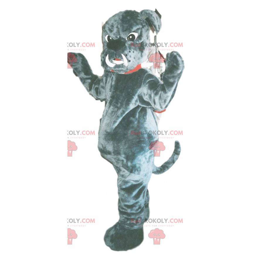 Mascotte di cane toro grigio con enormi zanne - Redbrokoly.com
