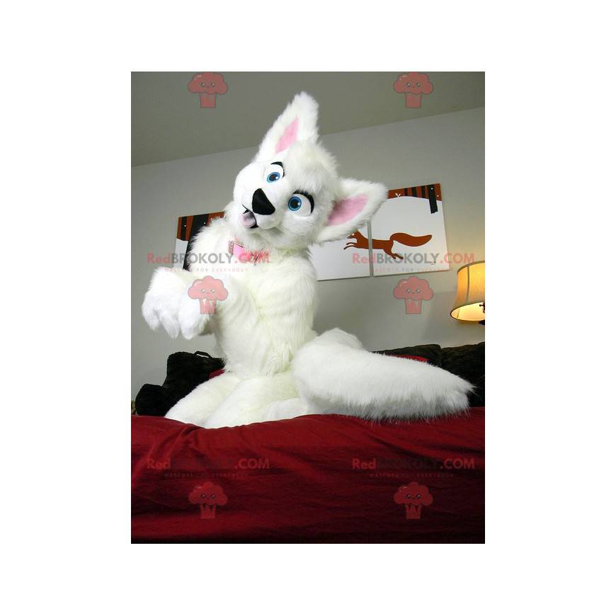 Mascote cachorro branco e rosa macio e peludo - Redbrokoly.com