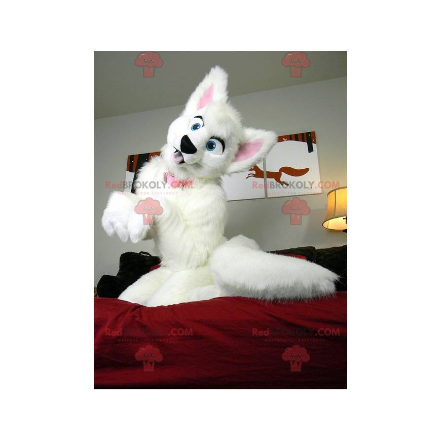 Měkký a chlupatý bílý a růžový psí maskot - Redbrokoly.com Měkký a chlupatý bílý a růžový psí maskot - Redbrokoly.com