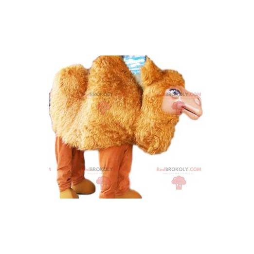 Mascote do camelo vermelho. Fantasia de camelo - Redbrokoly.com