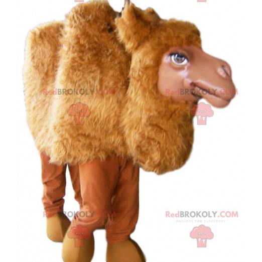 Mascotte de chameau rouge. Costume de chameau - Redbrokoly.com