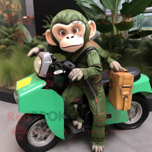Grønn Capuchin Monkey...