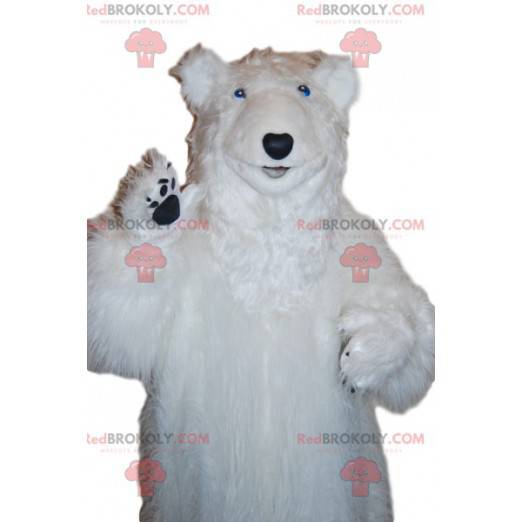 Mascote do urso polar majestoso. Fantasia de urso polar -