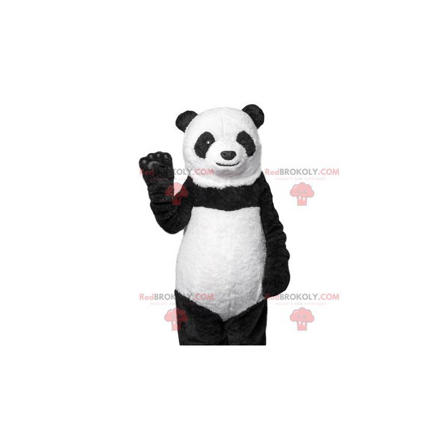 Bonita mascota panda. Disfraz de panda - Redbrokoly.com