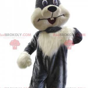 Very pretty gray and white rabbit mascot. Bunny costume -
