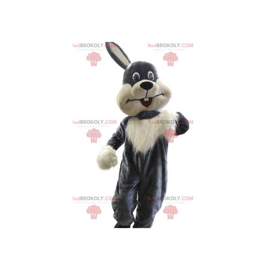 Very pretty gray and white rabbit mascot. Bunny costume -