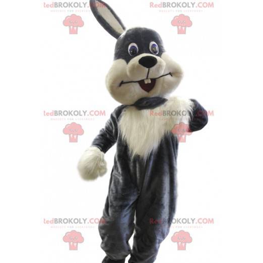 Very pretty gray and white rabbit mascot. Bunny costume -