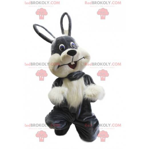 Very pretty gray and white rabbit mascot. Bunny costume -
