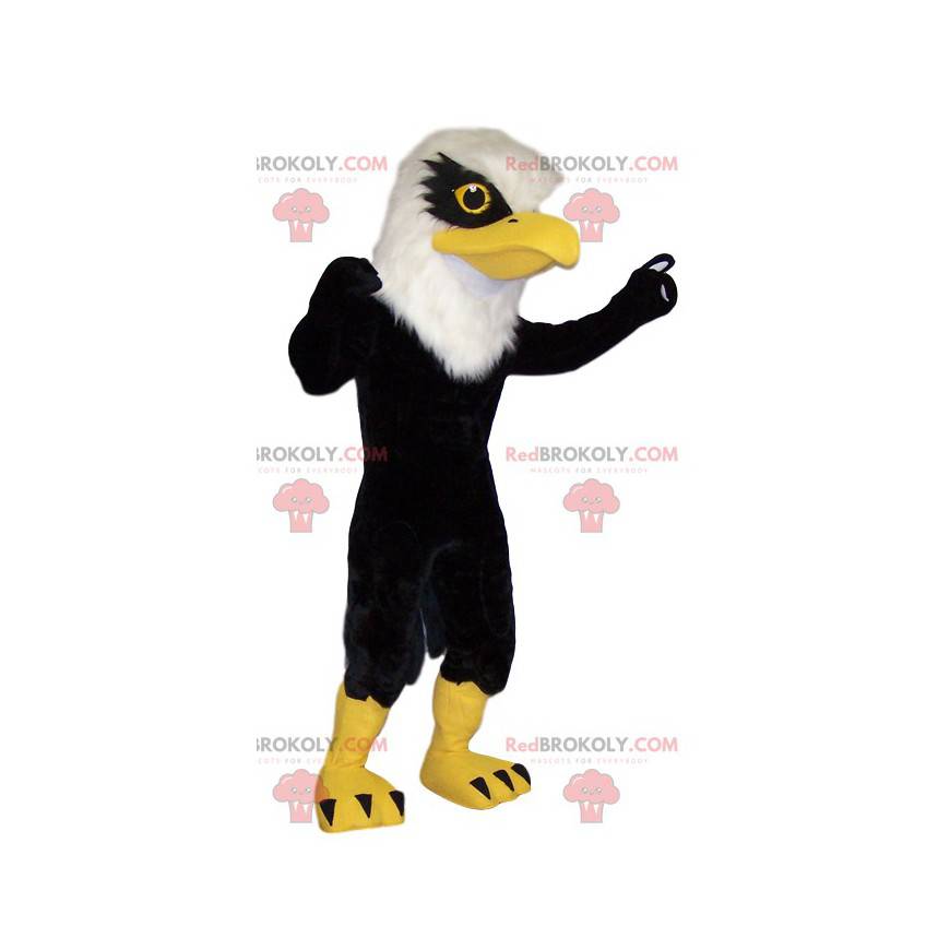 Mascote da águia dourada negra. Traje de águia dourada. -
