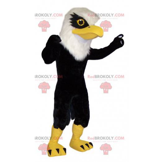 Mascote da águia dourada negra. Traje de águia dourada. -