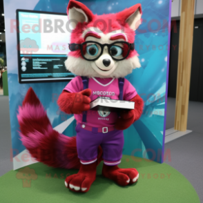 Magenta Raccoon mascot costume character dressed with a Shorts and Reading glasses