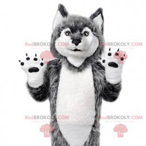 Gray wolf mascot. Gray wolf costume - Redbrokoly.com