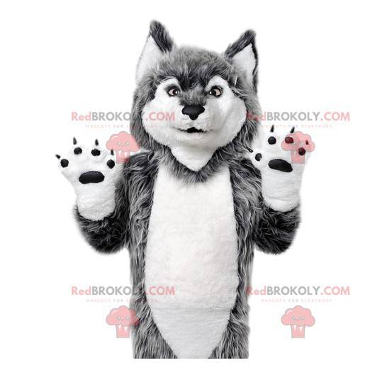 Šedý vlk maskot. Kostým šedého vlka - Redbrokoly.com