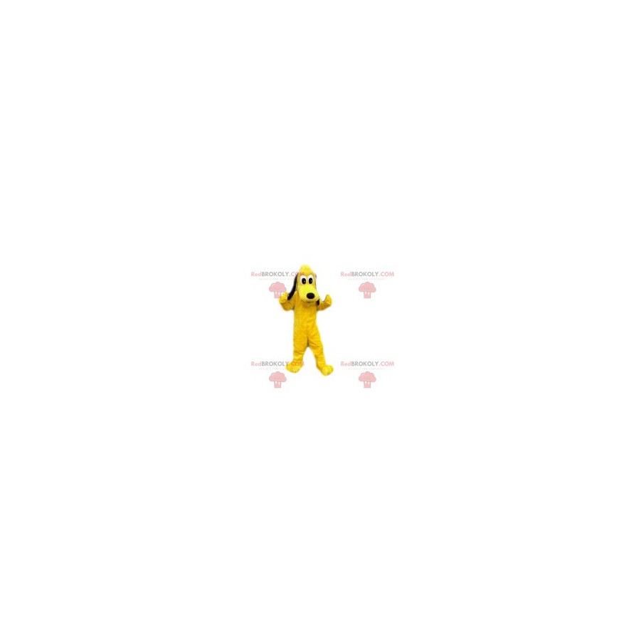 Mascotte Pluto, un simpatico cane di Walt Disney - Mascotte Pluto, un simpatico cane di Walt Disney -
