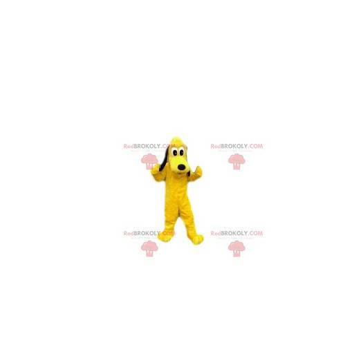 Maskot Pluto, milý pes od Walta Disneyho - Redbrokoly.com