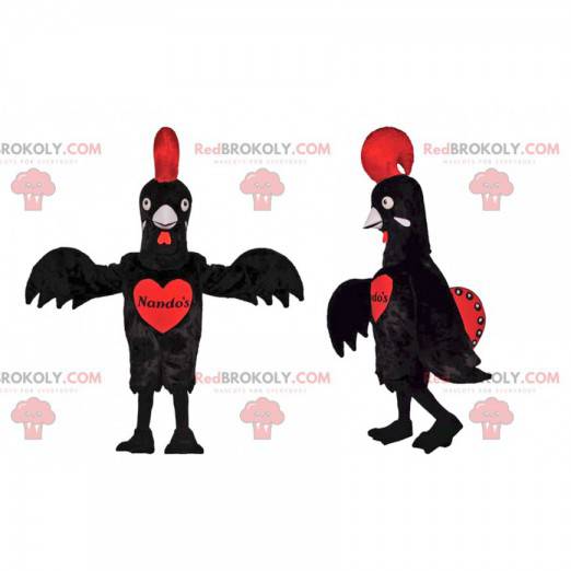 Mascota de pollo negro con una hermosa cresta roja -