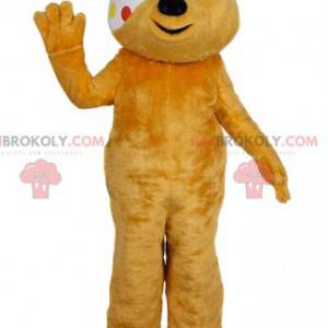 Mascotte d'ours jaune avec un bandage. Costume d'ours jaune -