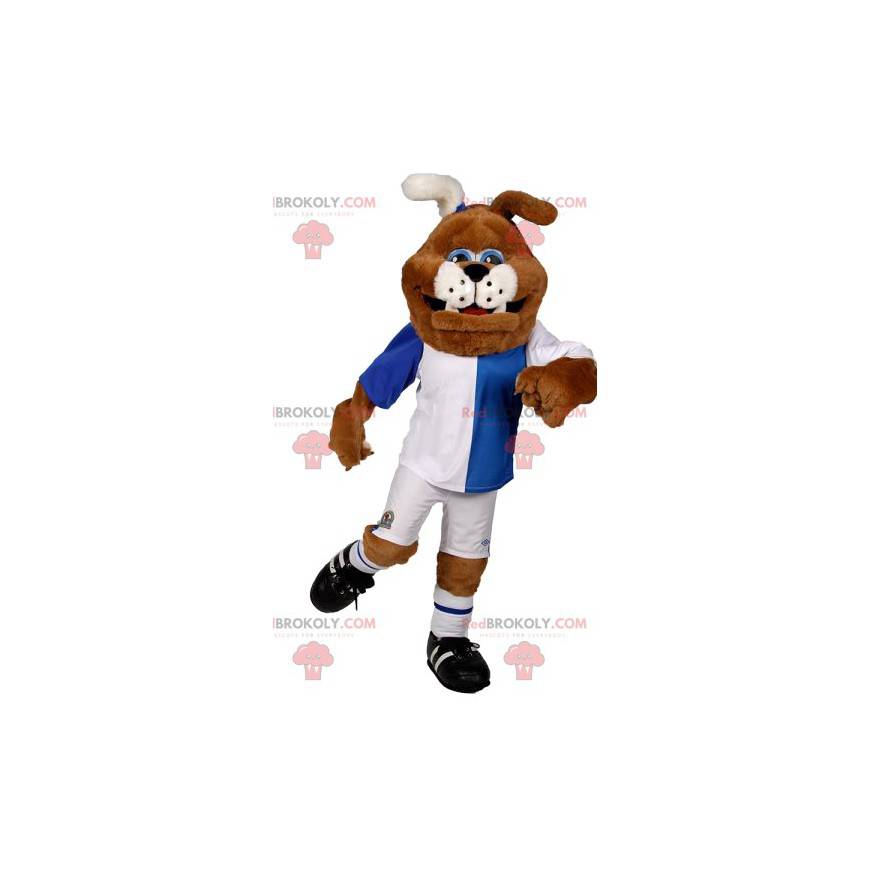 Maskot býčí pes ve fotbalové výstroji. Kostým býčího psa - Maskot býčí pes ve fotbalové výstroji. Kostým býčího psa -