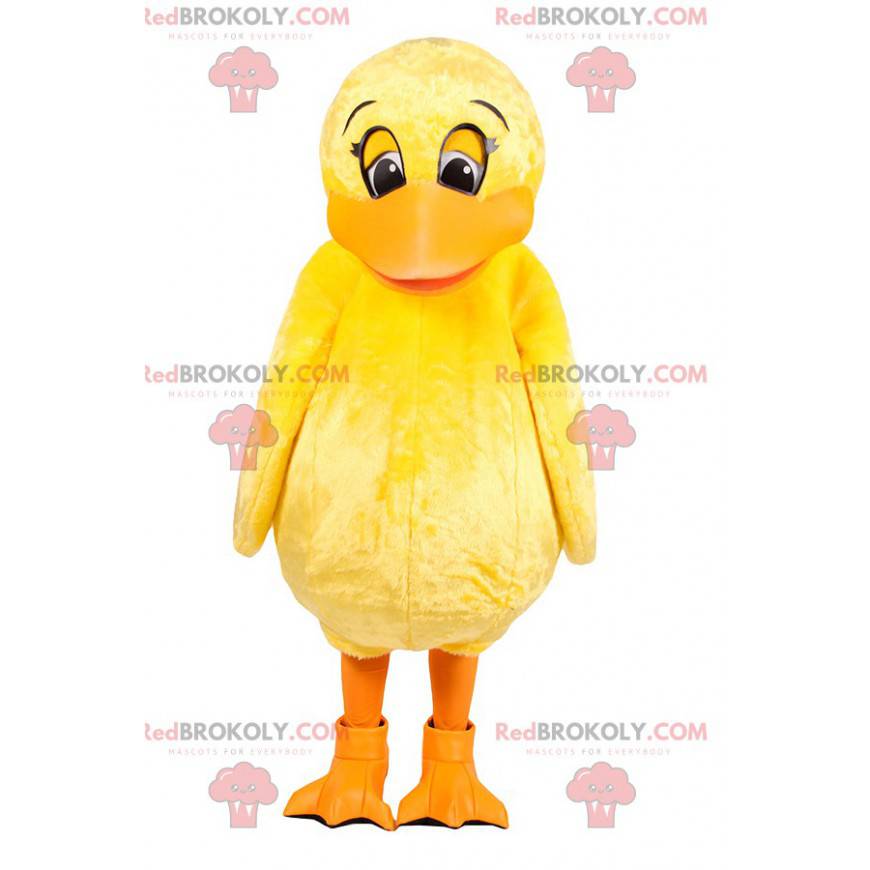 Mascotte de petit canard jaune. Costume de canard -