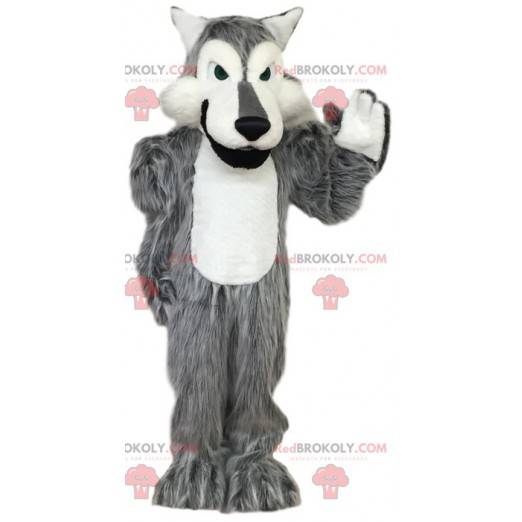 Mascotte lupo grigio e bianco. Costume da lupo - Redbrokoly.com