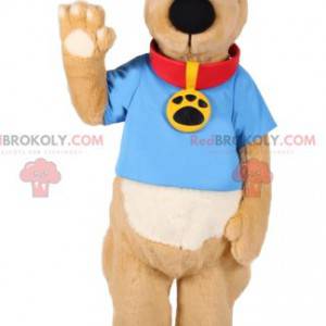 Mascota de perro con cuello rojo y jersey azul. - Redbrokoly.com