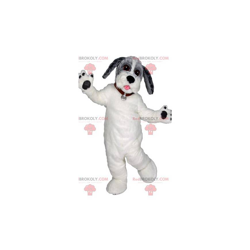 Mascote cachorro branco com uma linda coleira vermelha - Mascote cachorro branco com uma linda coleira vermelha -