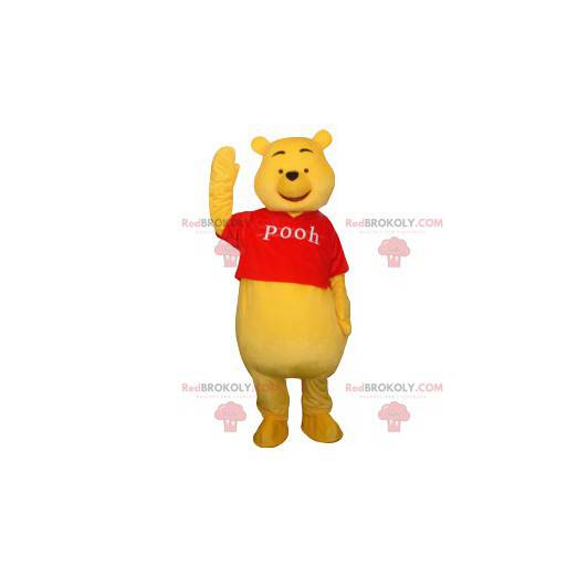 Mascotte di Winnie the Pooh. Costume da Winnie the Pooh -