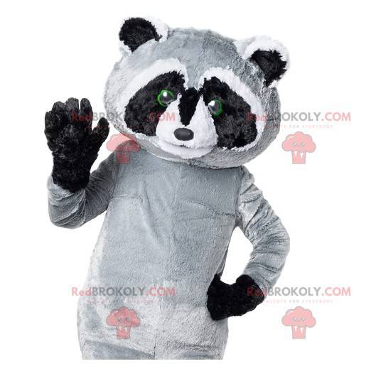 Mascotte procione grigio e nero troppo carino - Redbrokoly.com
