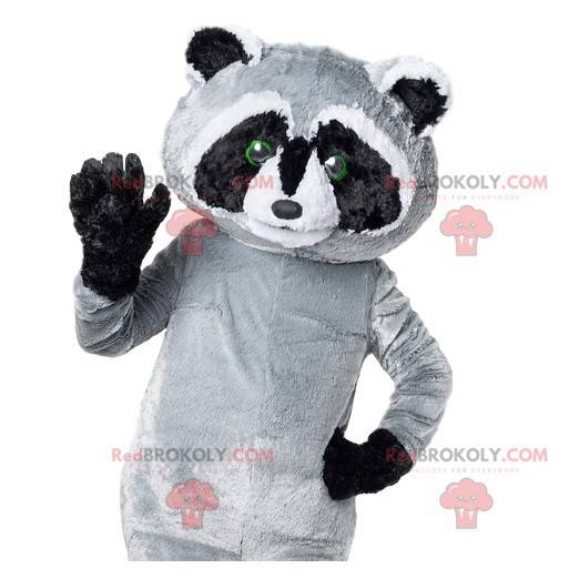 Maskotgrå og sort vaskebjørn er for sød - Redbrokoly.com