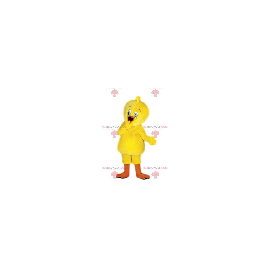 Mascot Titi, Cartoon Titi y Grosminet. Traje de titi - Mascot Titi, Cartoon Titi y Grosminet. Traje de titi -