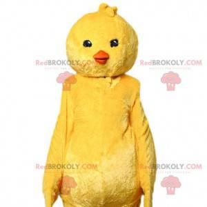 Mascotte pulcino giallo. Costume da pulcino giallo -