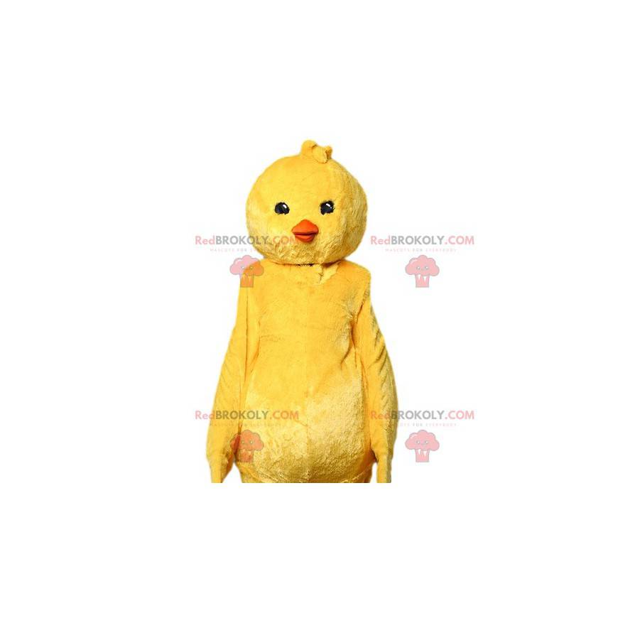 Mascotte de poussin jaune. Costume de poussin jaune -