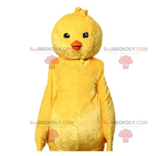 Mascota de pollito amarillo. Disfraz de pollito amarillo -