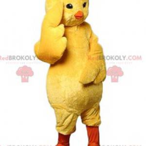 Yellow chick mascot. Yellow chick costume - Redbrokoly.com
