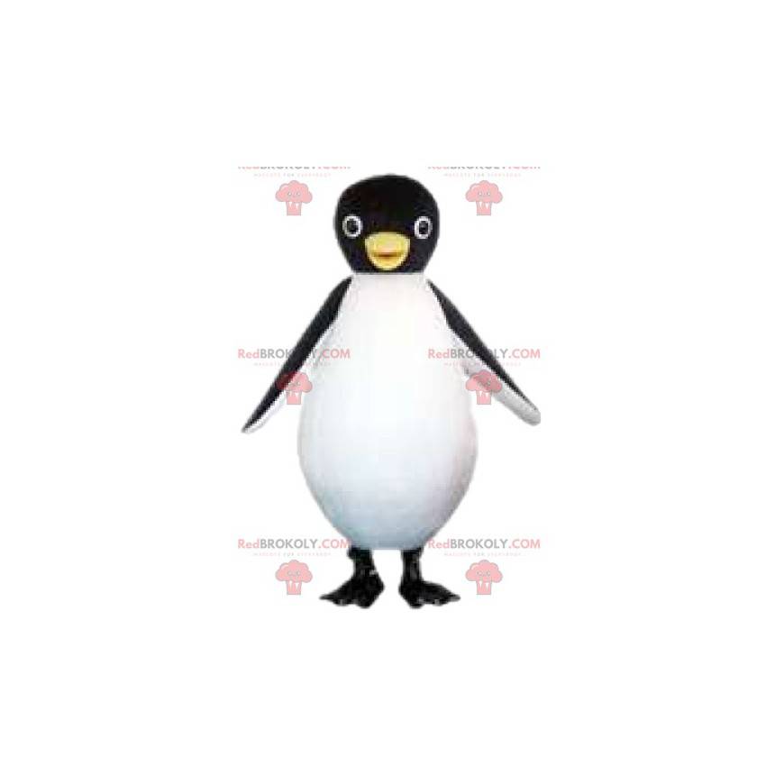 Mascote pinguim muito fofo. Fantasia de pinguim - Redbrokoly.com