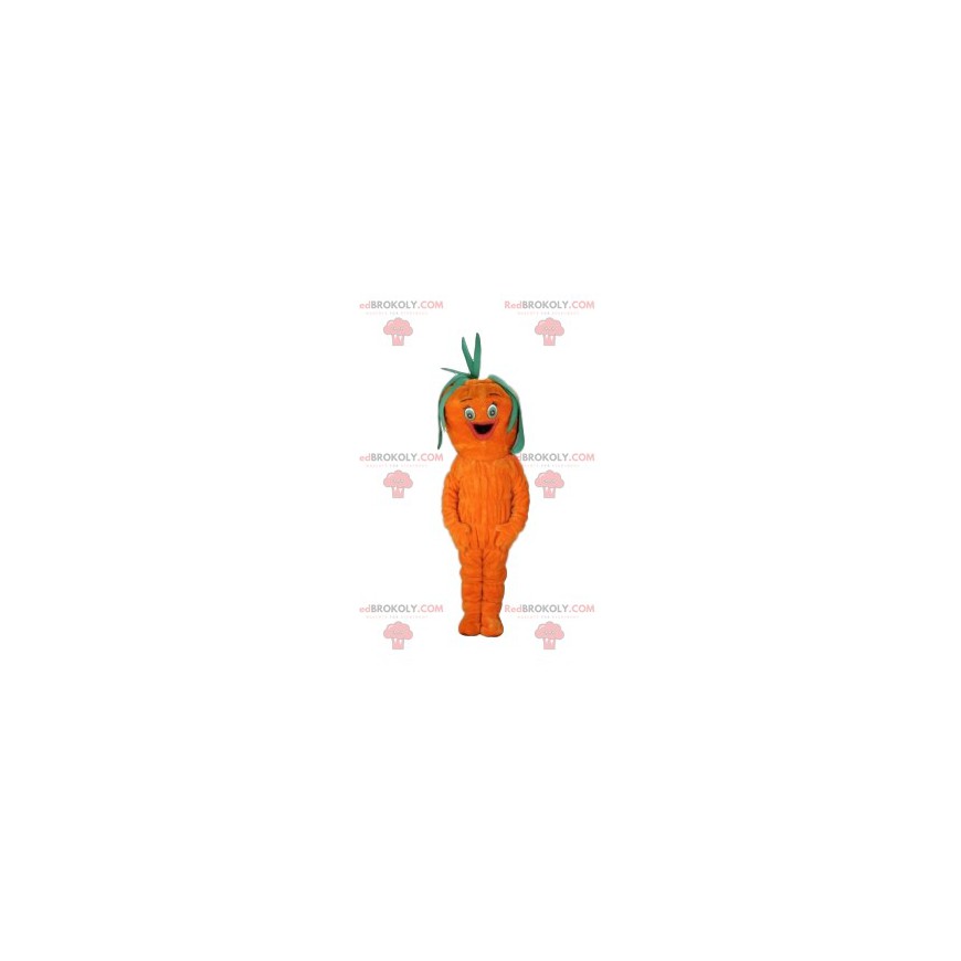 Carrot mascot. Carrot costume - Redbrokoly.com Carrot mascot. Carrot costume - Redbrokoly.com