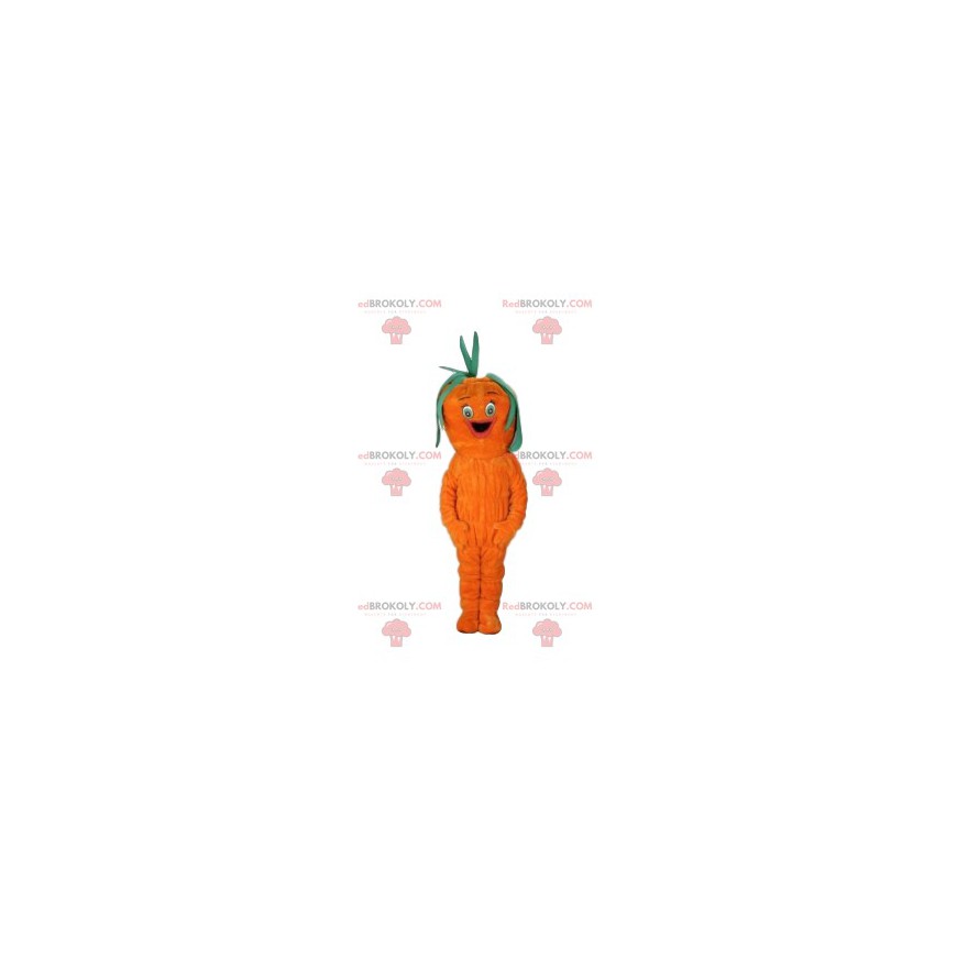 Mascote da cenoura. Fantasia de cenoura - Redbrokoly.com