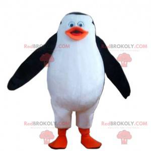 Funny penguin mascot. Penguin costume - Redbrokoly.com