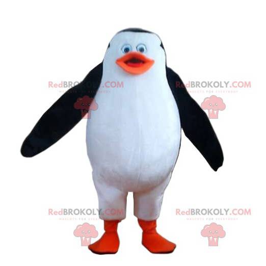 Funny penguin mascot. Penguin costume - Redbrokoly.com
