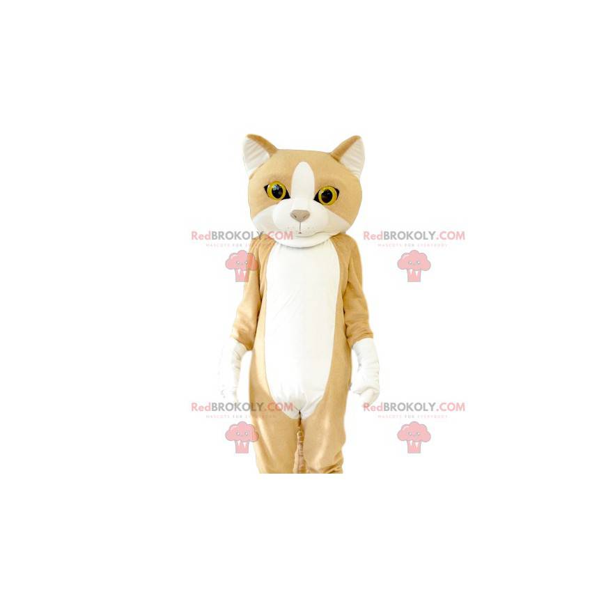 Kat mascotte met mooie gele ogen. Kat kostuum - Redbrokoly.com