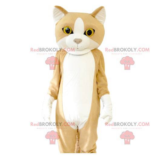 Cat mascot with beautiful yellow eyes. Cat costume -