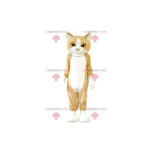 Cat mascot with beautiful yellow eyes. Cat costume -