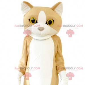 Cat mascot with beautiful yellow eyes. Cat costume -