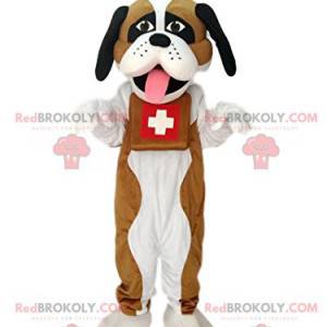 Mascot of Saint Bernard. Costume of Saint Bernard. -