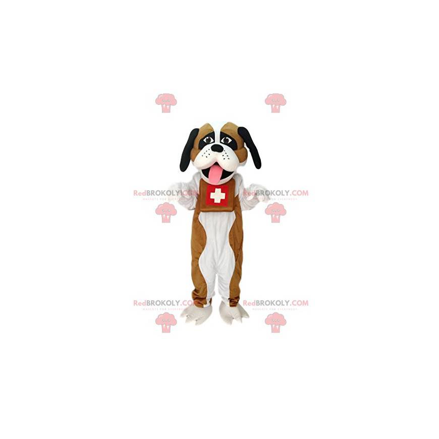 Mascotte van Sint Bernard. Kostuum van Sint Bernard. -