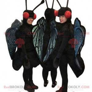 Mascotes de três borboletas pretas e azuis. Fantasias de