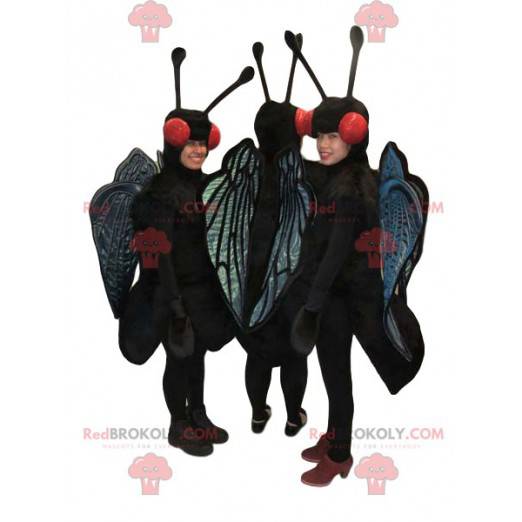 Mascottes de trois papillons noirs et bleus. Costumes de