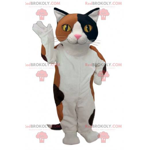 Very successful black and brown white cat mascot -